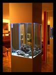 Morski akvarijum 3